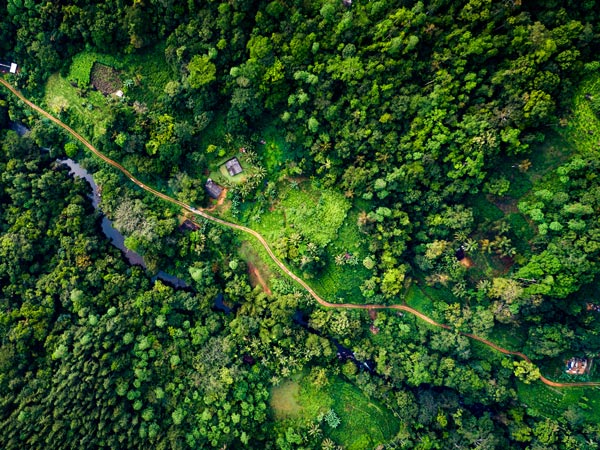 Aerial photo rainforest village