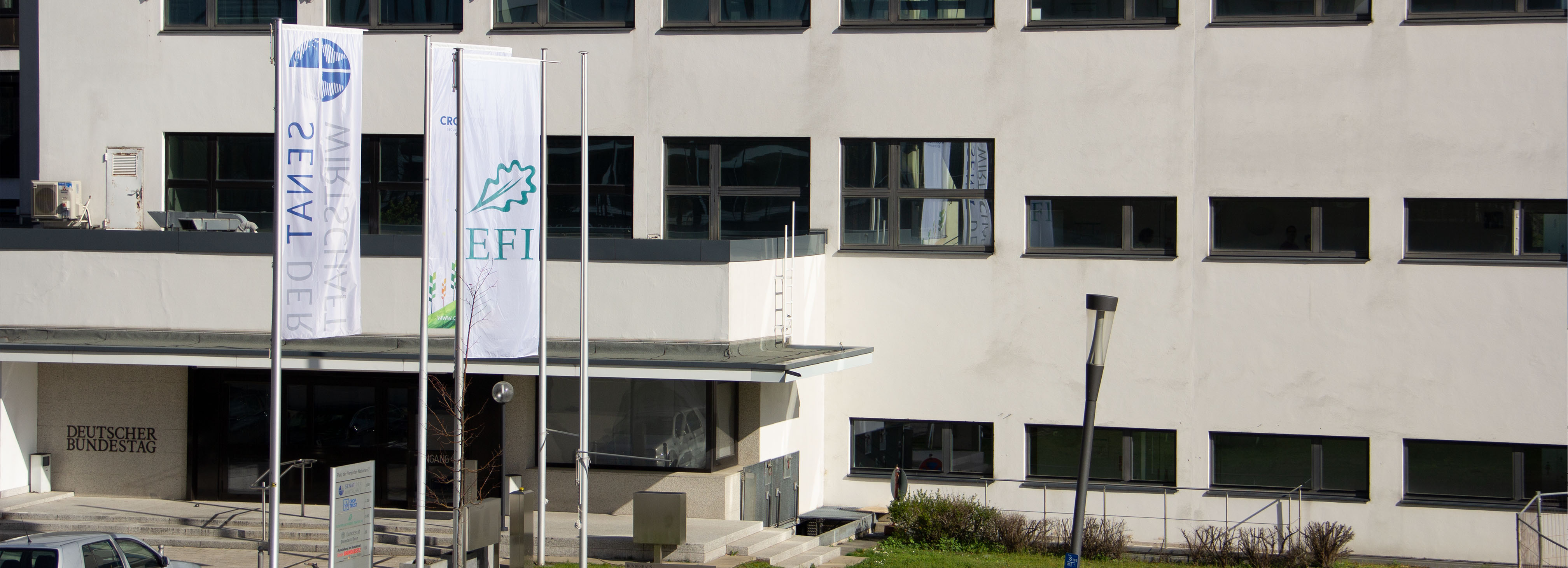 "EFI Bonn Office"