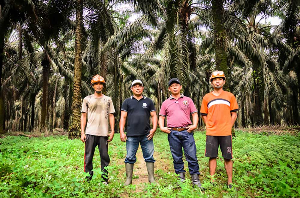 Palm crop workers