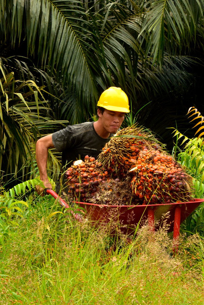 Crop worker