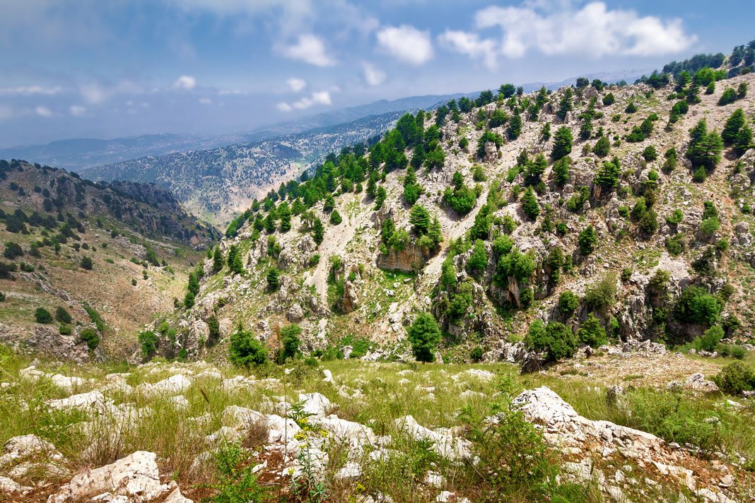 mediterranean landscape