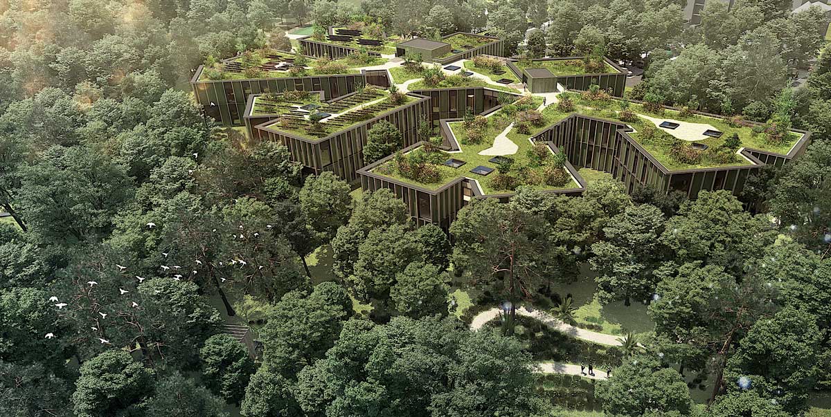 Buildings integrated in forest
