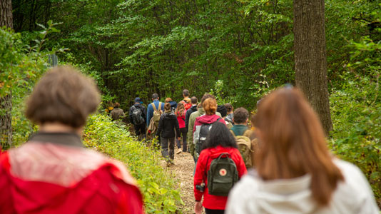 People walking through a forest