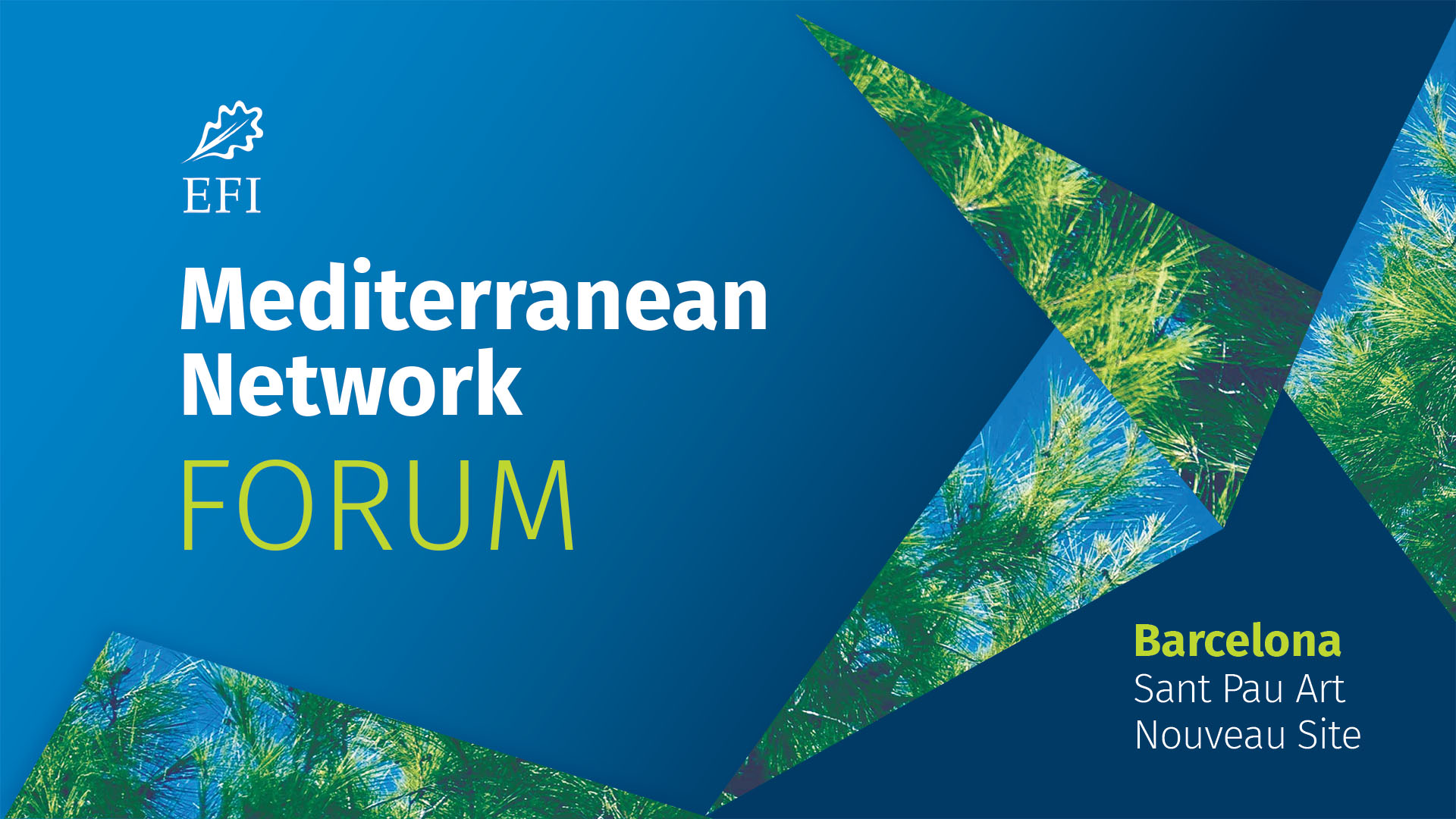 Mediterranean Network Forum