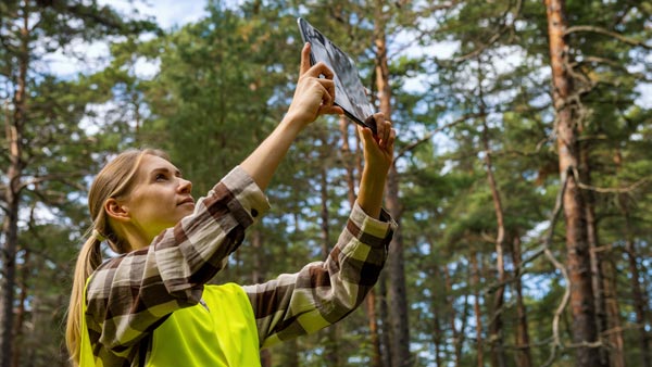 Female forester taking a photo in the forest
