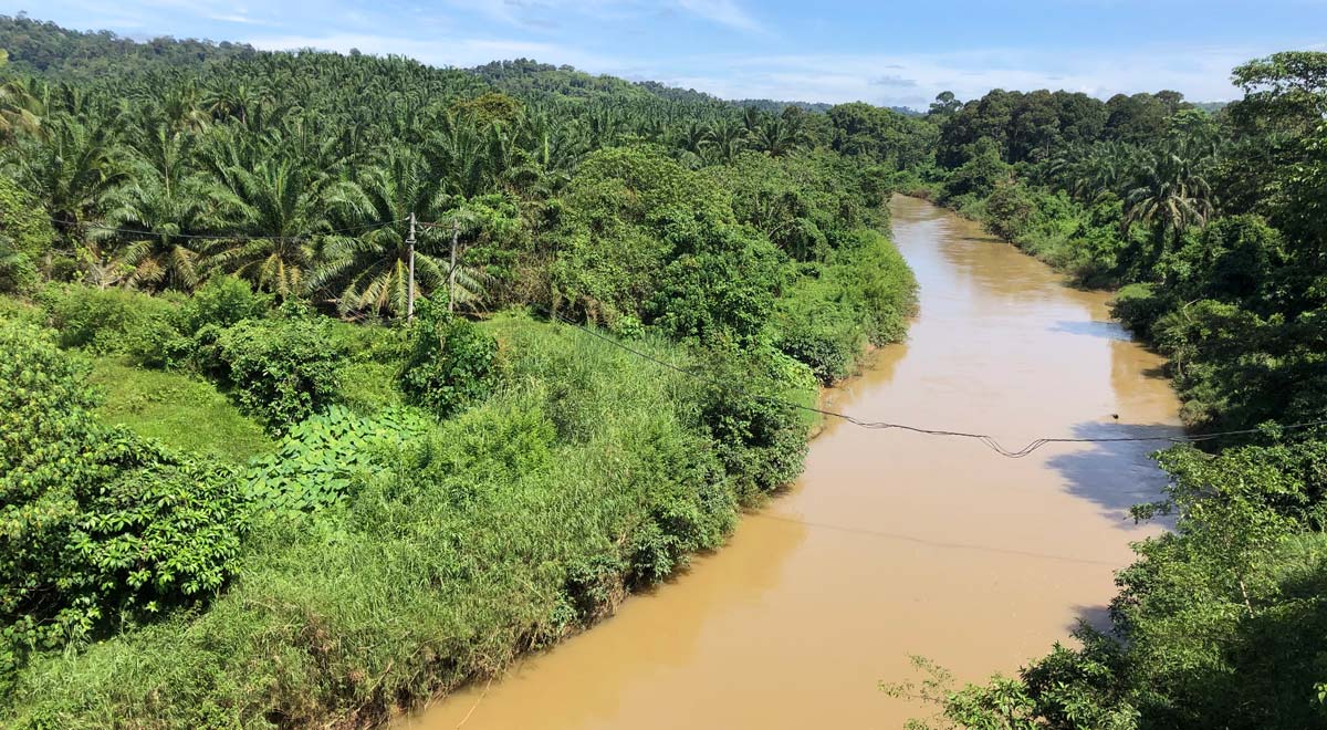 KAMI in Malaysia