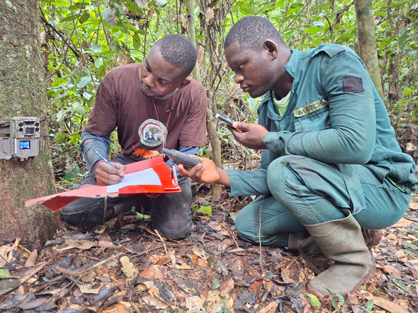 Men recording coordinates in the forest