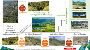 Joan Pino Forest resilience in a context of global change related forest disturbances