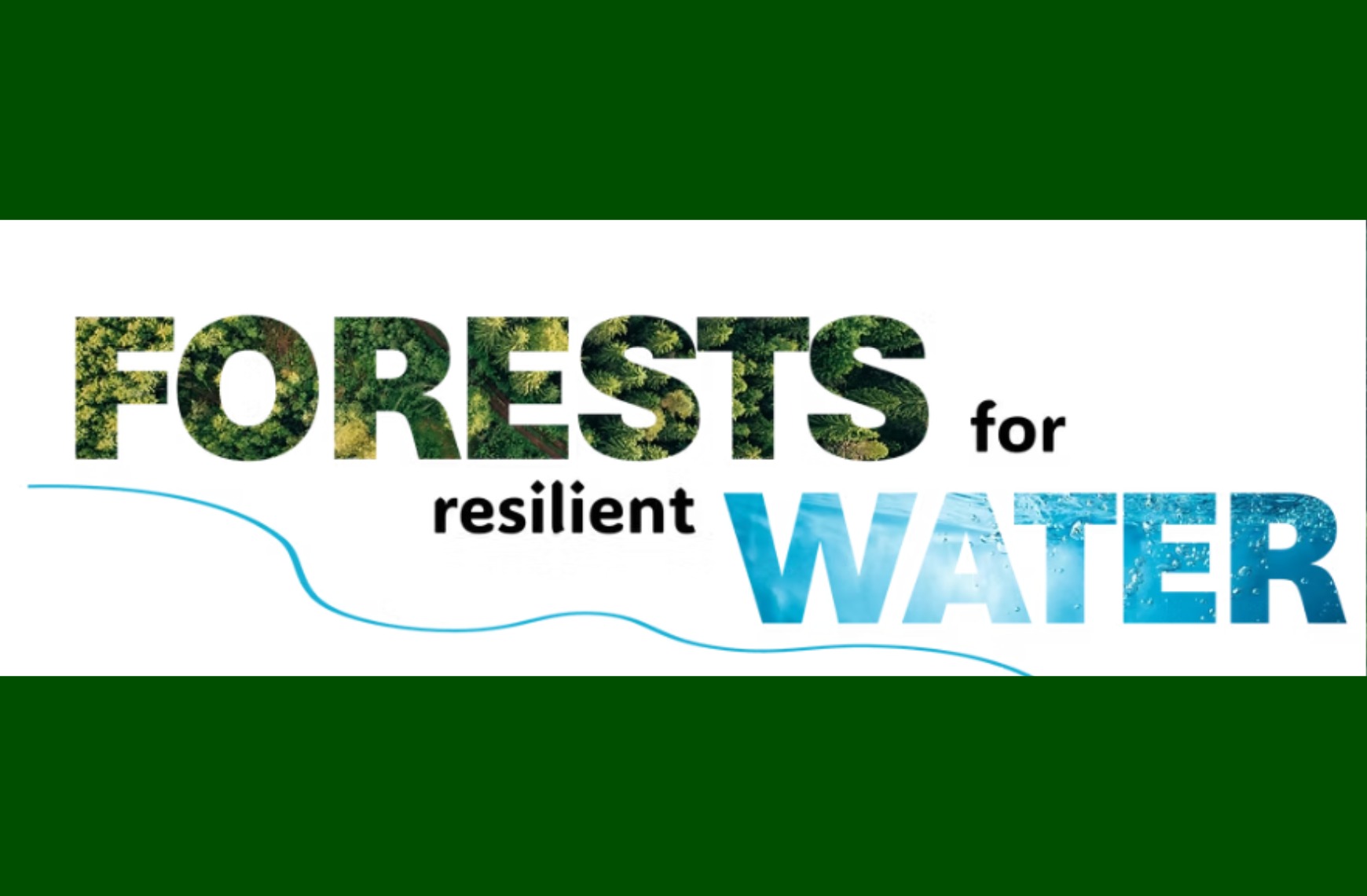 forest for resilient water