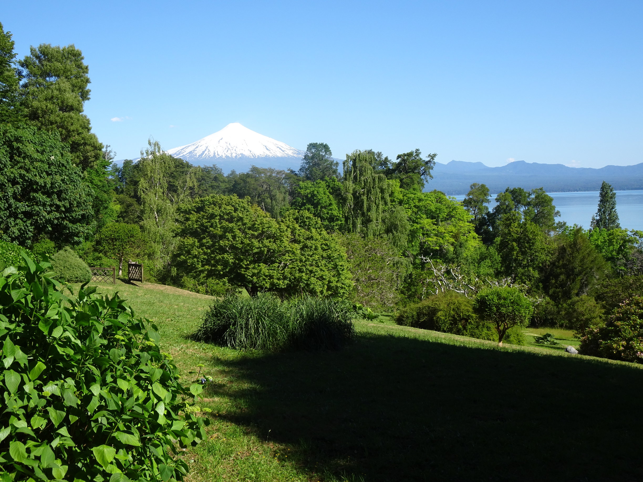 Planted Forests Facility | European Forest Institute