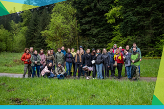 Digital tools in forestry