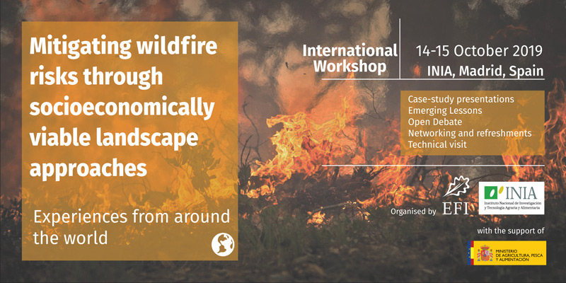 Mitigating wildfires risks through socioeconomically viable landscape approaches International workshop banner