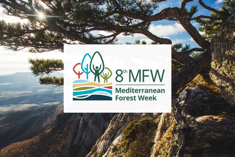 8th Mediterranean Forest Week