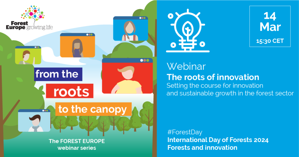Webinar: The roots of innovation