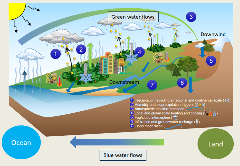 Climate Change Impacts On The Water Cycle at Maxine Bakos blog