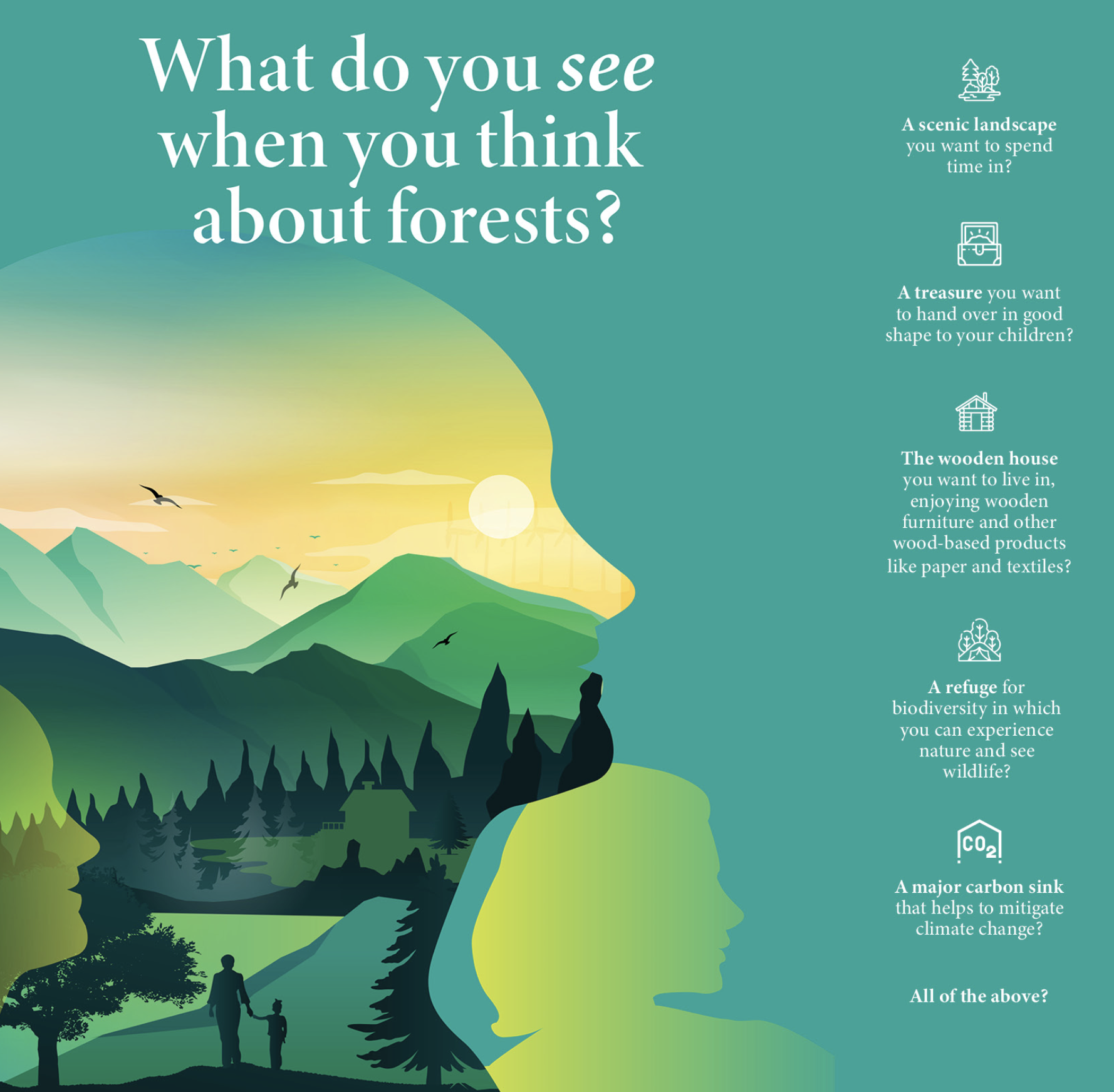 Key questions on forests in | European Institute