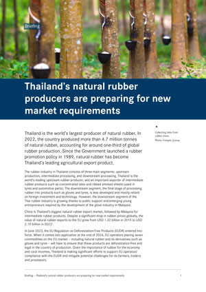 Thailand’s natural rubber producers are preparing for new market requirements