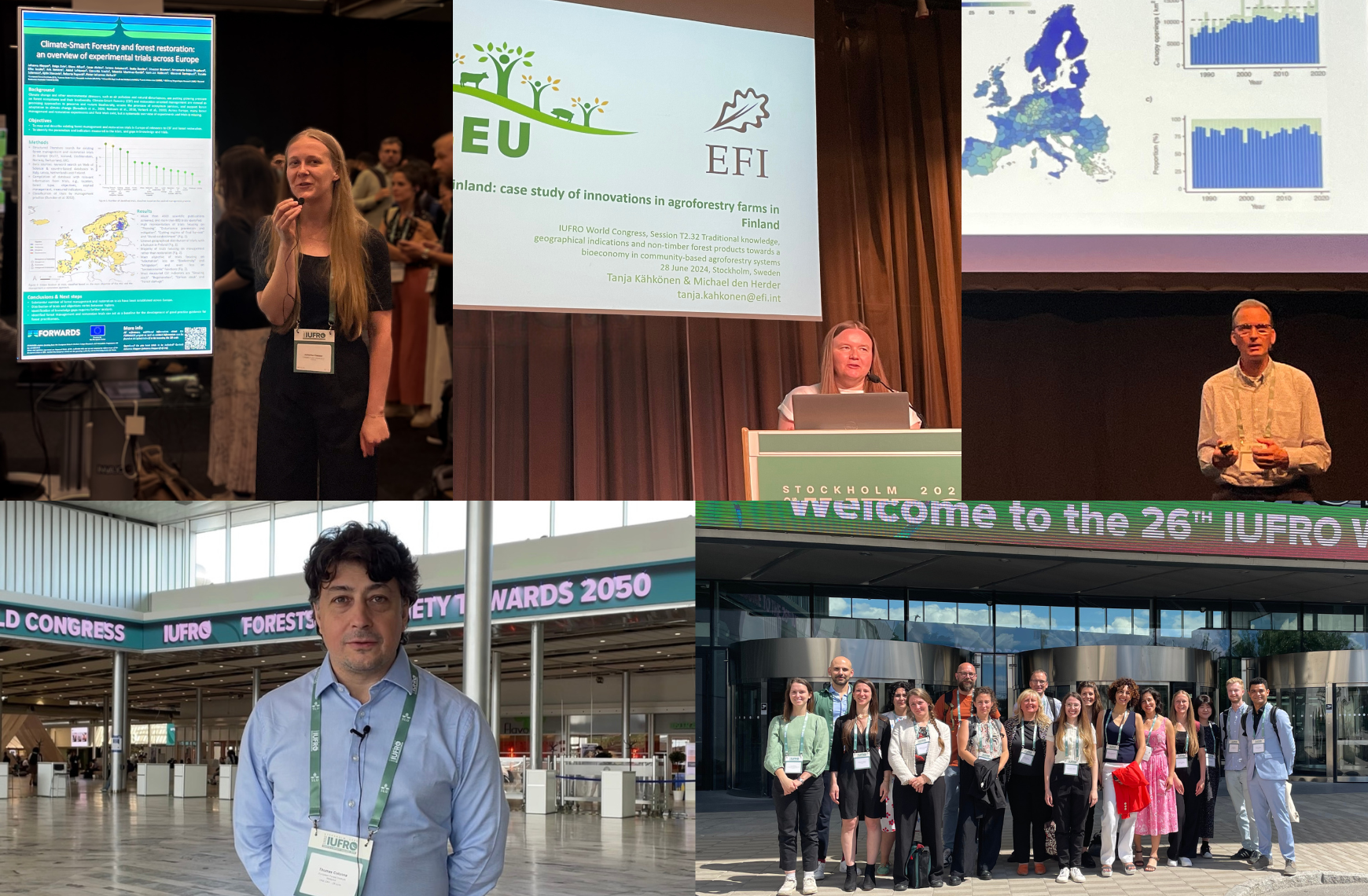 Johanna Klapper, Tanja Kähkönen, Marcus Lindner, Thomas Colonna, EFI staff at IUFRO 2024