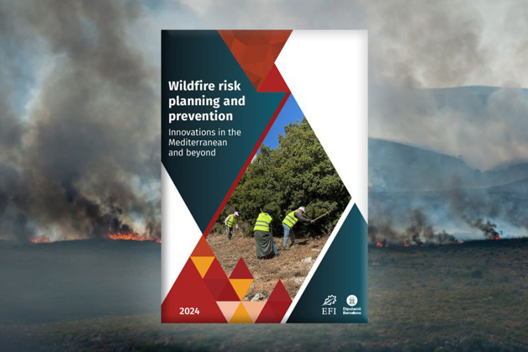 wildfire risk planning and prevention publication