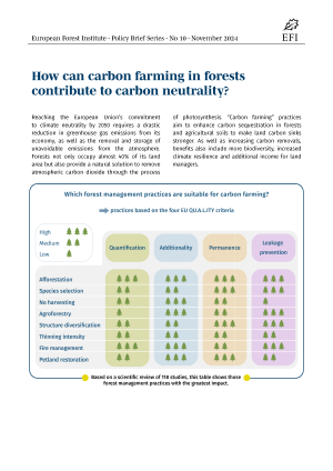 first page of the policy brief