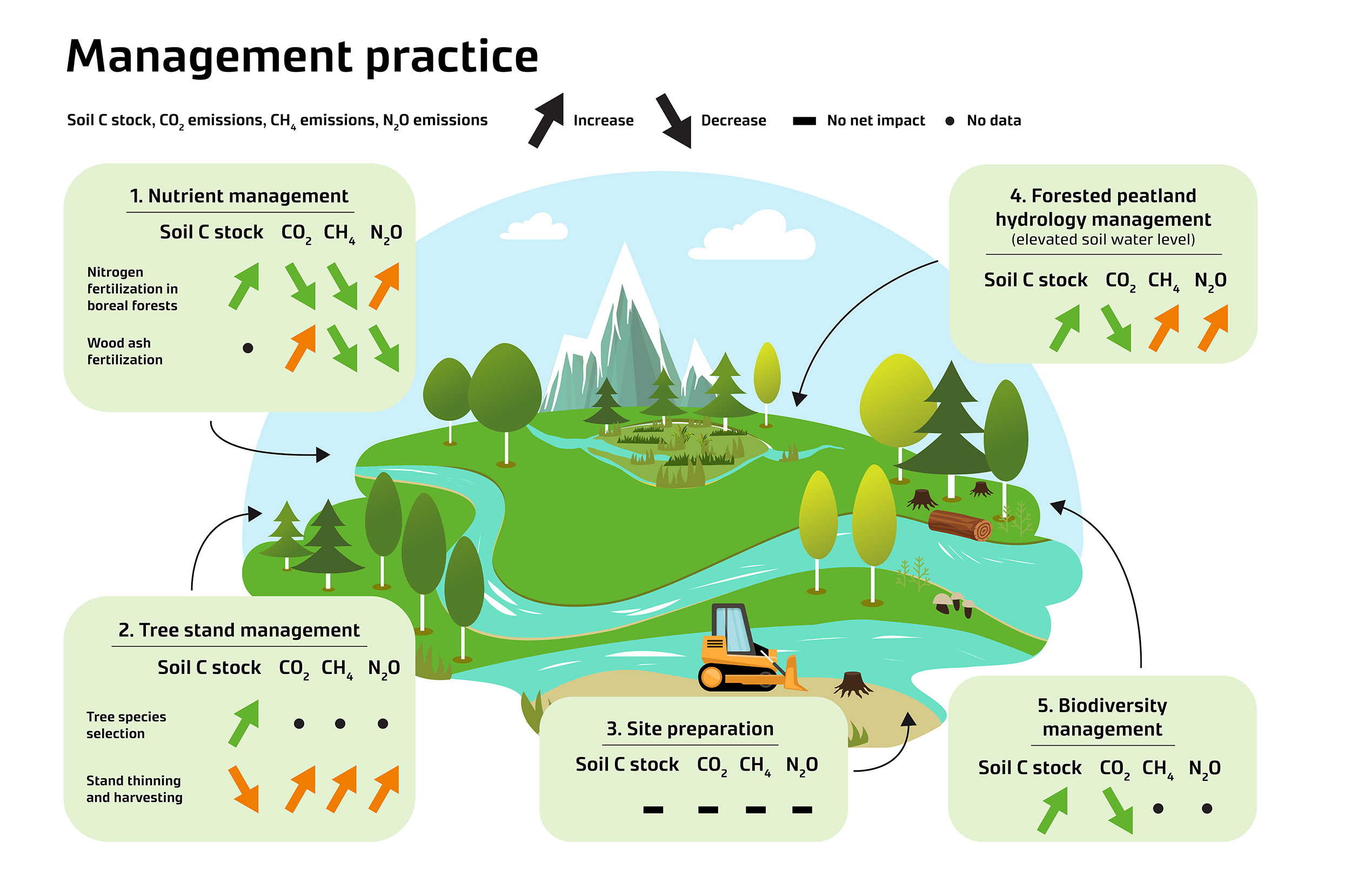 Diagram of management practice