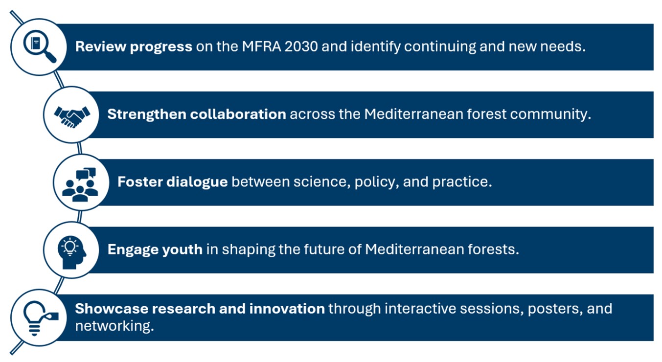 EFI Mediterranean Network Forum 2026 objectives