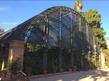 Umbracle of the Botanical Garden