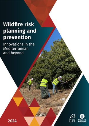 Wildfire risk planning and prevention