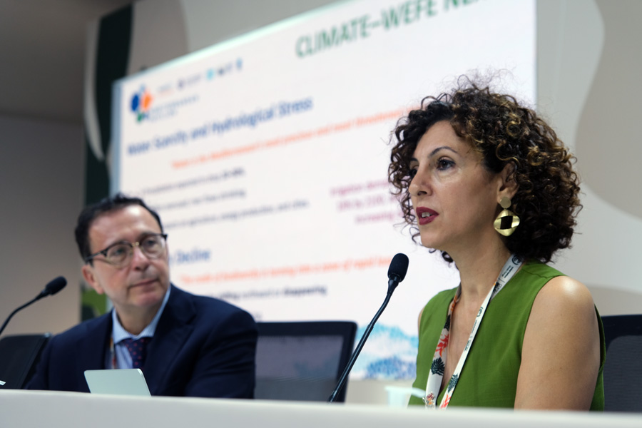 COP30 Press Conference 2025