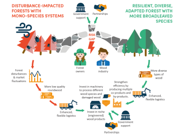 Resilient forests