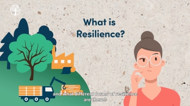 Forest Resilience – What Is It Exactly? 