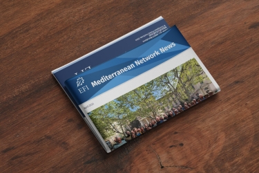 EFIMED April Newsletter 2025