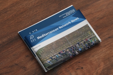 EFIMED December Newsletter 2025