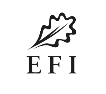 2026 EFI logo