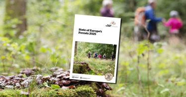 SOEF Rerport on photo