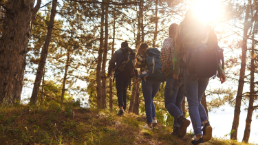 Young people walking in a forest