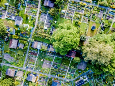 Aerial view of allotment in Switzerland