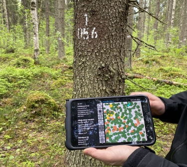 photo of virtual forest management tool being used in forest