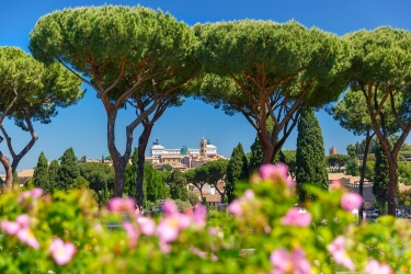  Altare della Patria as seen from Rome Rose Garden in the sunny day with roses and Stone pine trees in the foreground, Rome, Italy. By Kavalenkava at Adobestock.