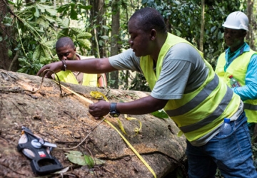 Measuring log