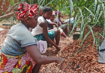 Sustainable Cocoa Programme