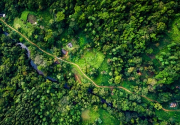 Aerial photo rainforest village