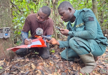 Men recording a GPS location of a tree