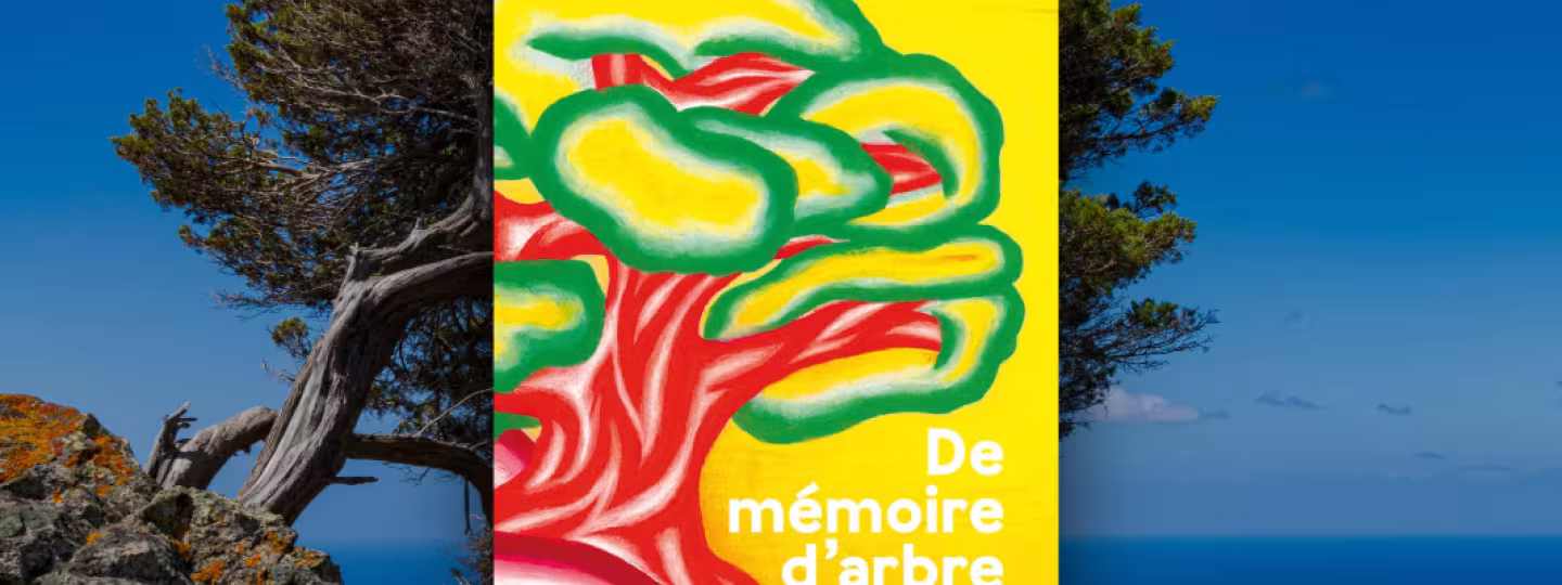 A book titled "De m&eacute;moire d'arbre" by Thierry Gauquelin, featuring a colorful, abstract illustration of a tree, superimposed over a photo of a gnarled tree on a cliff edge with the ocean in the background.