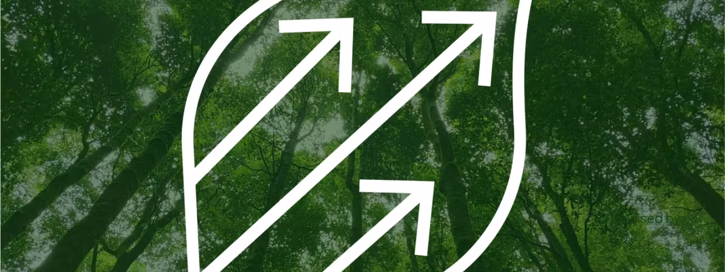 Stylized white outline of a leaf with three diagonal upward arrows inside, overlaid on a background of tall green forest trees viewed from below, suggesting growth, sustainability, and bioeconomy.