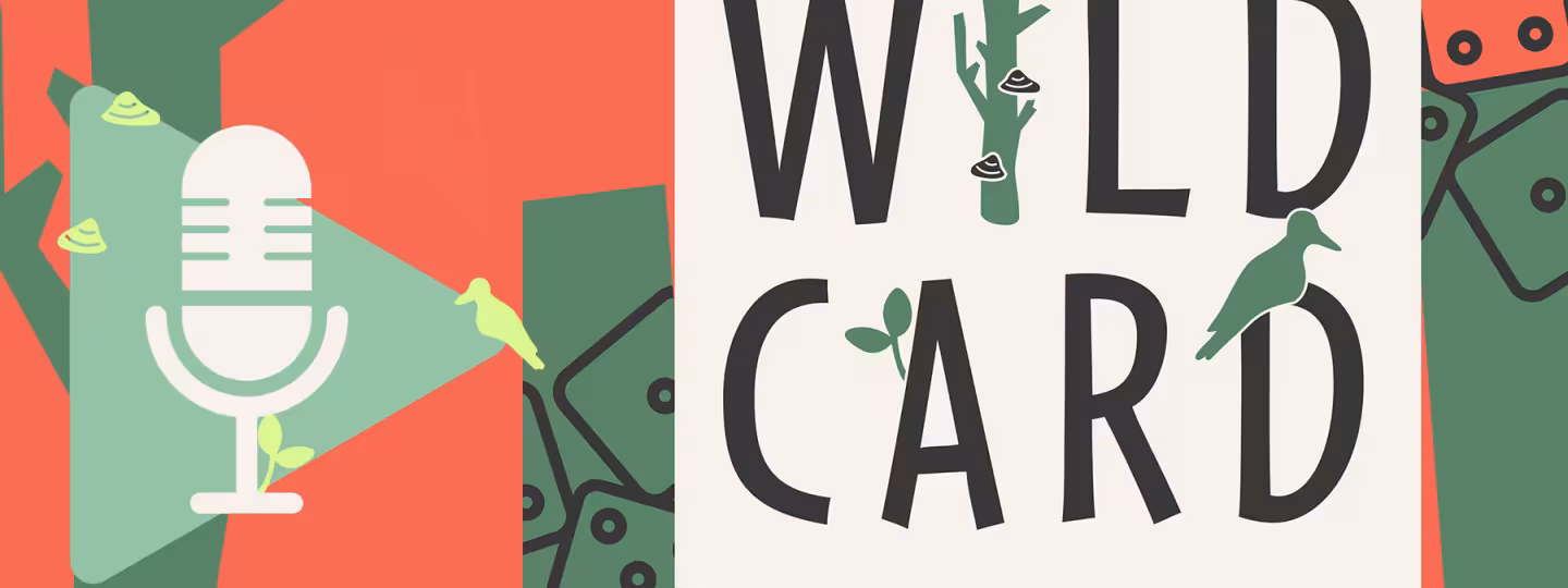 Social Media card for "The Forest Game" podcast