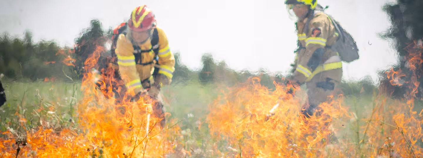 Two firefighters in protective gear work amid active flames during a controlled grassland burn. Bright orange fire spreads across dry vegetation in the foreground, while the firefighters use hand tools to manage the fire line. Smoke rises into the air, partially obscuring a grassy landscape and trees in the background.