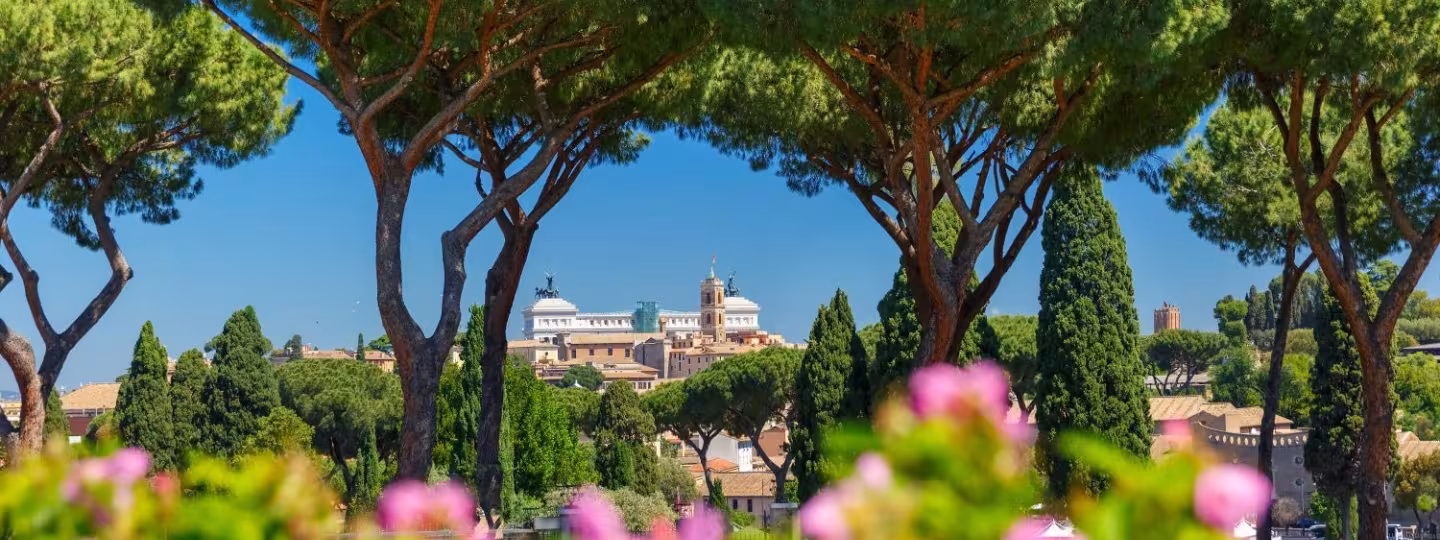 A scenic view of Rome framed by the canopy of iconic stone pine trees, with the Altare della Patria visible in the distance beyond an urban forest.