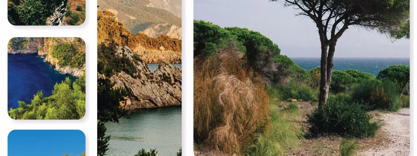 Mediterranean landscapes