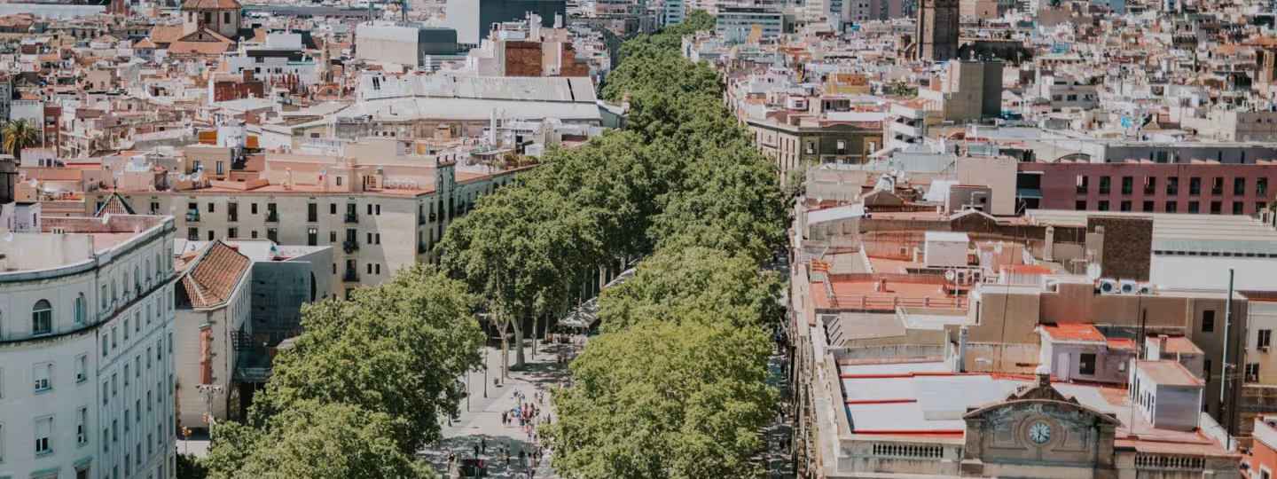 urban forest in Barcelona city